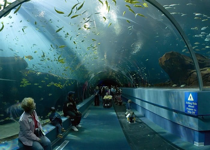 Georgia Aquarium Tour Atlanta - Luxury Limo Service