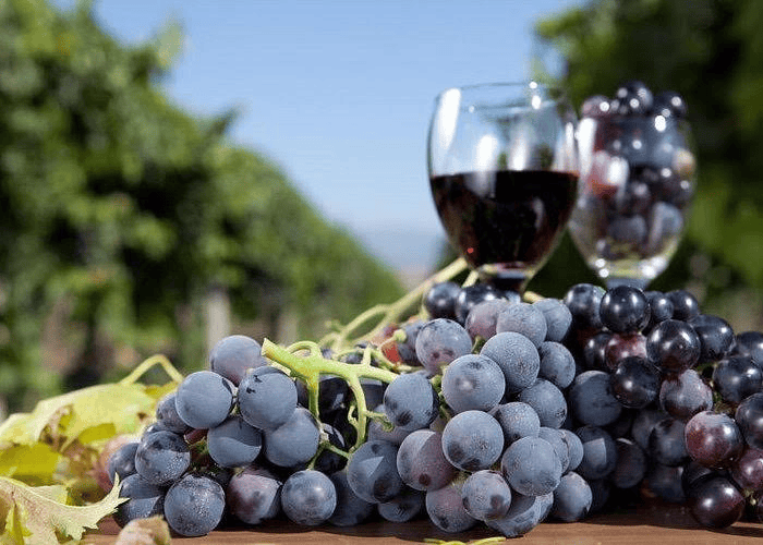 Corporate & Group Tours - Atlanta Luxury Limo Tour